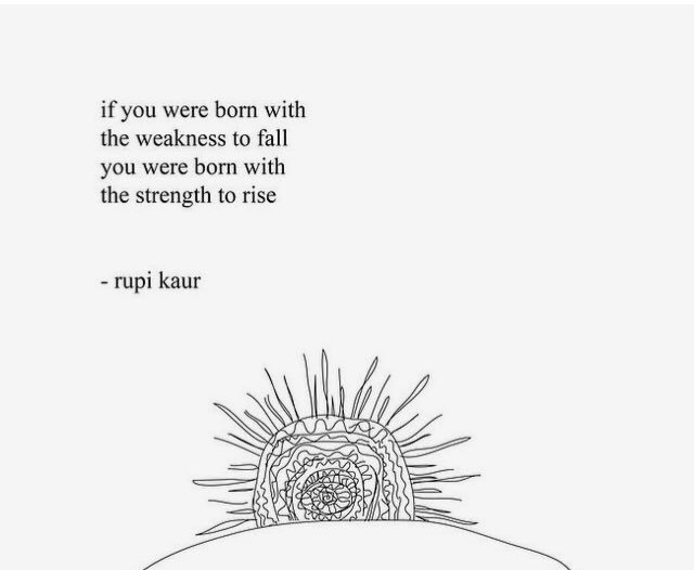 LaceyHubert1's tweet photo. https://t.co/0UEcdJ1R62