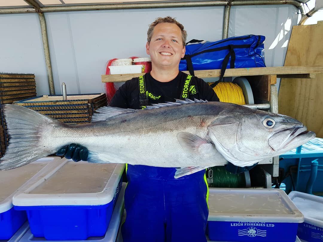 Getting good fish today, you should see the average size of the snapper! #fishing #bayofplenty #longline #sustainable #seafood #sushi #sashimi #newzealand <a href="/ErikaHarveyNZ/">Erika Harvey</a>