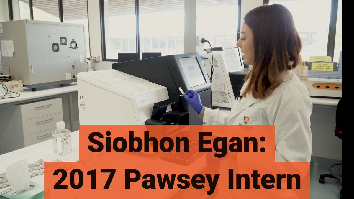 PawseyCentre's tweet image. There are still 10 days to go to apply for the 2018 @PawseyCentre #internships. Visit here to apply: pawsey.org.au/2018/07/call-f…

To hear last year&apos;s Intern experience and what she&apos;s doing now, Siobhon of @MurdochUni @cryptick_lab joined Pawsey for a chat: youtube.com/watch?v=4kf2OR…