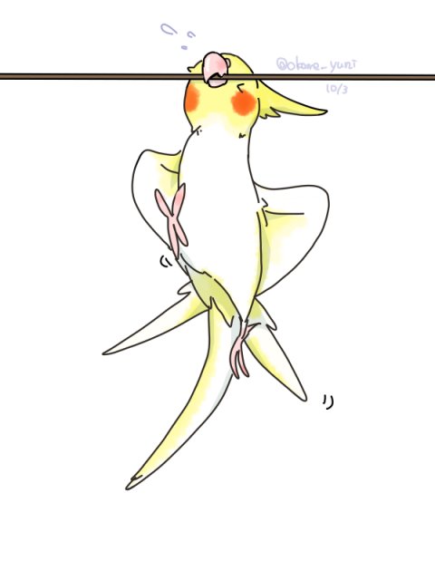インコイラストのtwitterイラスト検索結果 インコイラストのtwitterイラスト検索結果