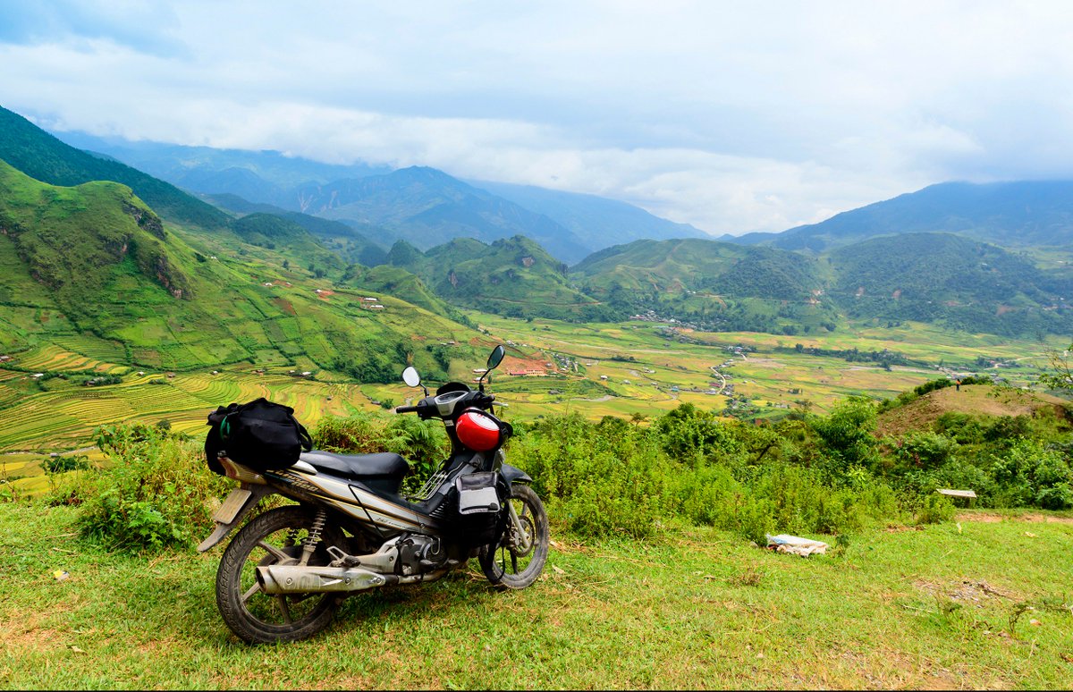 PhotographyMinh's tweet photo. Mùa vàng Mù Cang Chải. https://t.co/P9lsMyphPY