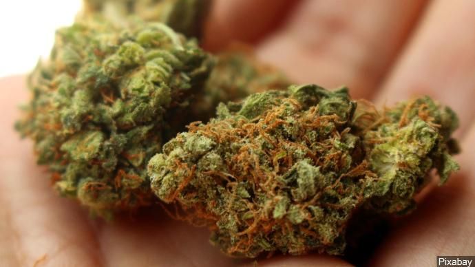 faircanorg's tweet photo. Legal marijuana expected to be on Ohio shelves in December https://t.co/cL4kriuV4u https://t.co/XPHVVrrabR