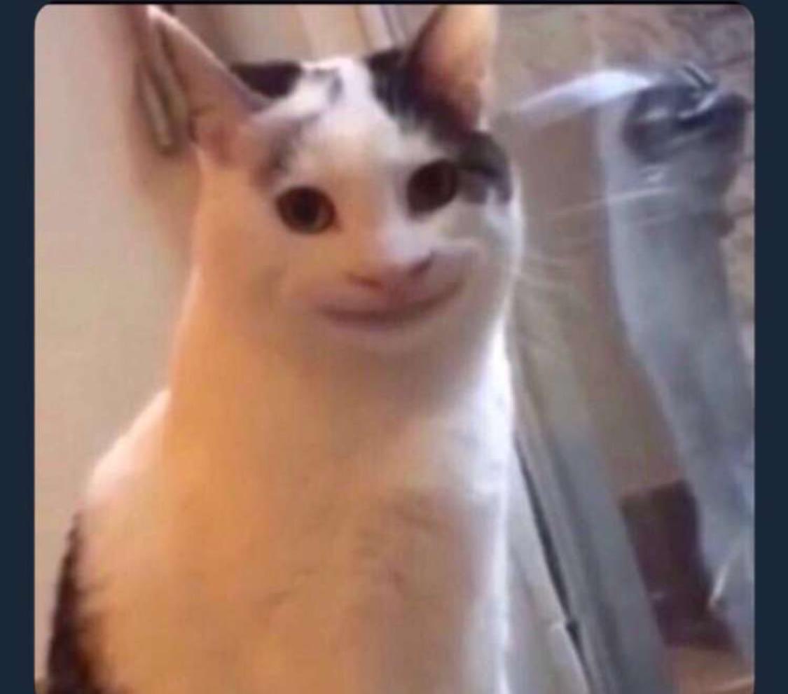 Кот улыбается с зубами. Кот улыбается с зубами. Мем кот улыбается с зубами. Мем кот улыбается с зубами. Кот улыбается с зубами.