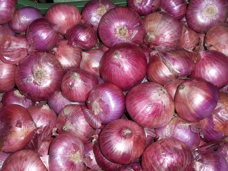 FarmersmarketKe's tweet photo. Kelvin is selling Onions in bulk at 60 shillings per Kg. His location is kiserian kajiado county. If interested you can reach him on 0797,932,469. Visit https://t.co/TYkX1g25Tn to buy more farm produce from farmers across the country. https://t.co/OEak2OhFnk