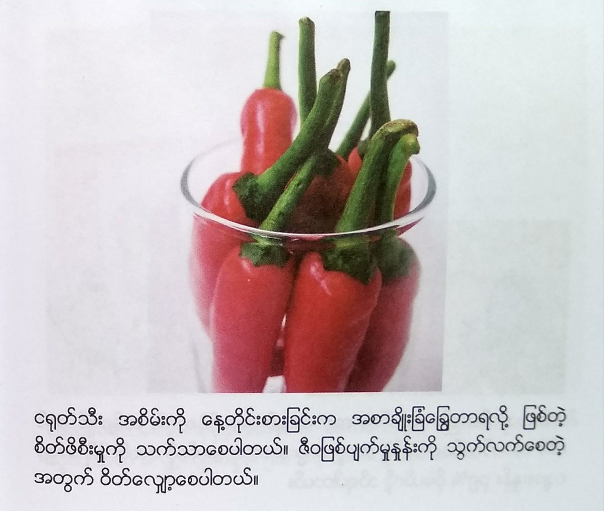 Internet based health promotion program
 Short message No.43
 100 lose belly fat tips
 စာတစ္မ်က္နွာ
 ဘ၀တစ္သက္တာ
 က်န္းမာေရးပညာေပးေလးပါ။
 တိုတို နဲ့ ထိထိမိမိျဖစ္ေအာင္
 ေဆာင္ရြက္ထားတာပါ။
 တစ္ဦး နဲ့တစ္ဦး ေဆြးေႏြးနိုင္ပါတယ္။