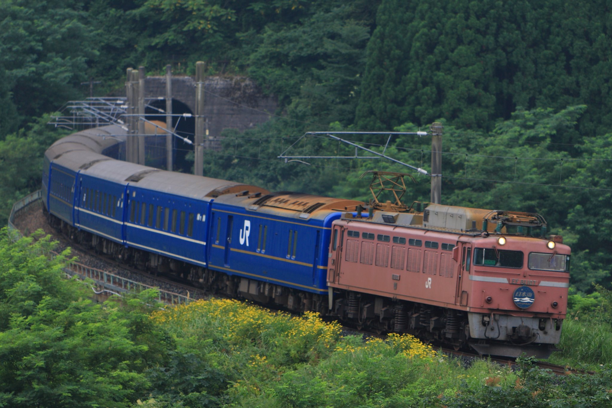 レレレのおじさん 懐かしの寝台列車シリーズ その10 寝台特急 日本海 北陸本線 新疋田 奥羽本線 白沢 陣場 北陸本線 新疋田 レレレのおじさん 懐かしの寝台列車シリーズ その10 寝台特急 日本海 北陸本線 新疋田 奥羽本線 白沢 陣場 北陸本線 新疋田