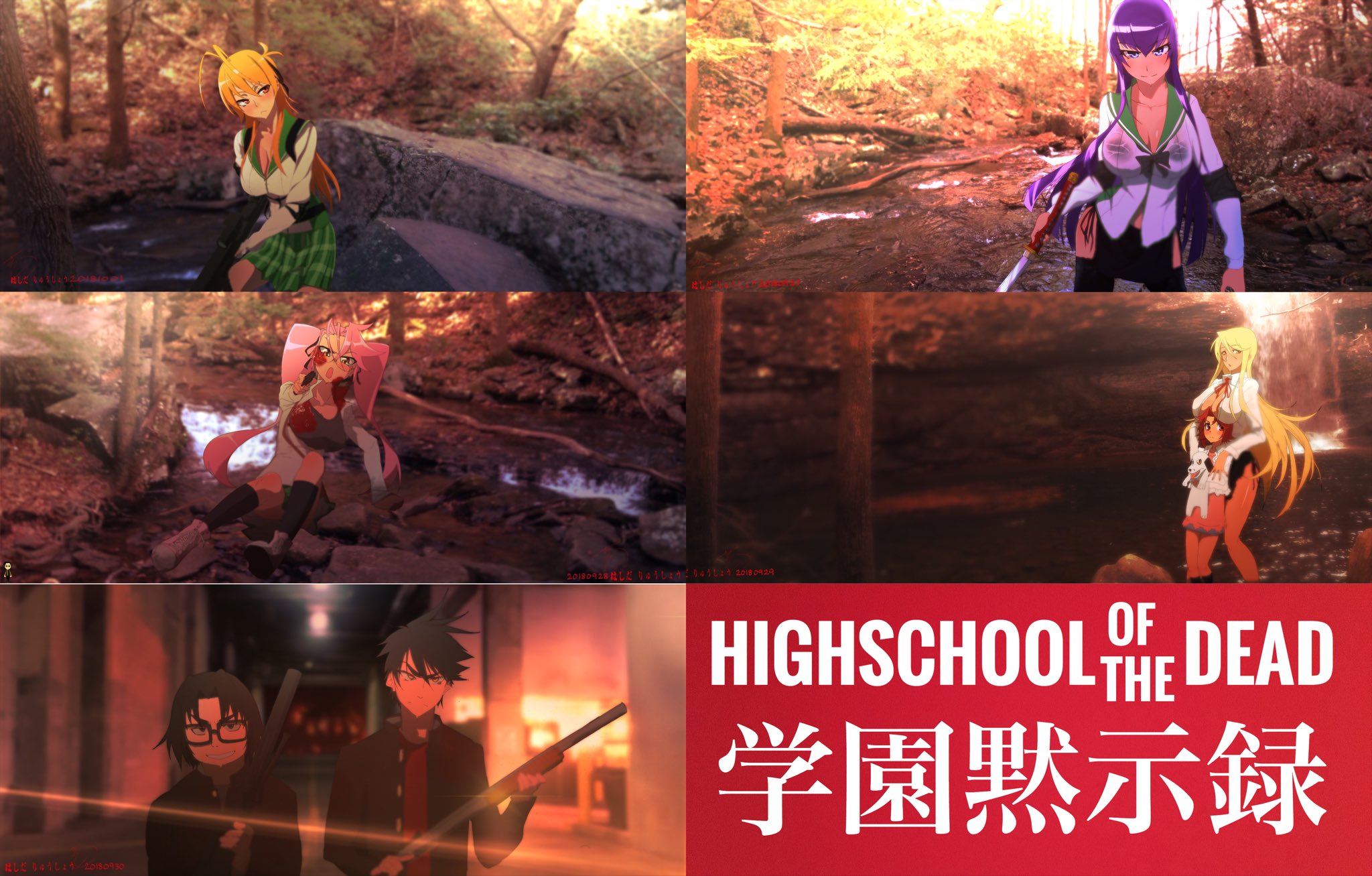 טוויטר 宮本麗 החיפוש של טוויטר