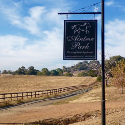 Aintree Park.
Now leasing horses.
Visit our website
aintreepark.com.au