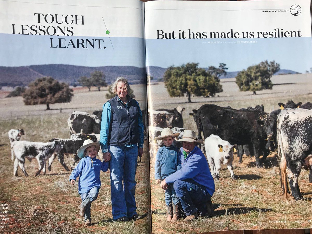NSWFarmers's tweet photo. The October issue of 'The Farmer' magazine is here! This month we clear the air on one of the hottest debates: #nativevegetation > https://t.co/1bXLdHY1JP. Also find stories of resilience during #drought, the #WoolPoll levy debate and the business of #beekeeping. #NSWFarmers https://t.co/w8lnIt0MCH