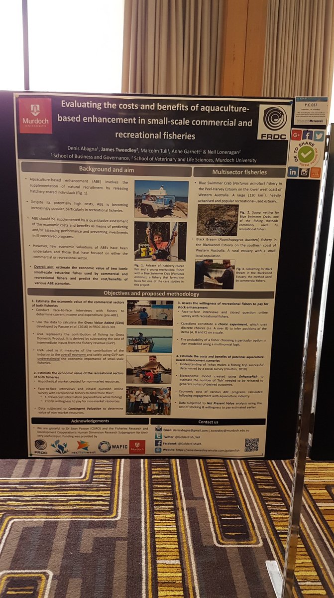 GoldenFish_WA's tweet photo. The #GoldenFish Team has been very busy lately!We had Sarah Poultonยดs graduation @VetLifeScience @MurdochUni , the #ECSA57, fieldwork preps... If you want to hear what we have been up to and what we plan to do,check our blog https://t.co/cTlQXKs0tA ! @FRDCAustralia @recfishwest https://t.co/KZ00f3qdlK