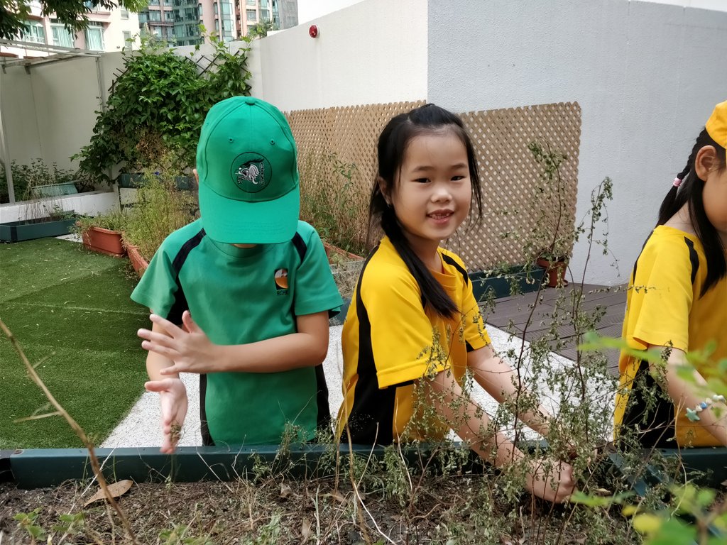 2PS_RCHK's tweet photo. Little gardeners getting the planters ready in the Early Year's Playground 🌱🌻🌱 https://t.co/FmfG2Azsl1