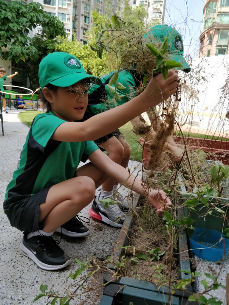 2PS_RCHK's tweet photo. Little gardeners getting the planters ready in the Early Year's Playground 🌱🌻🌱 https://t.co/FmfG2Azsl1