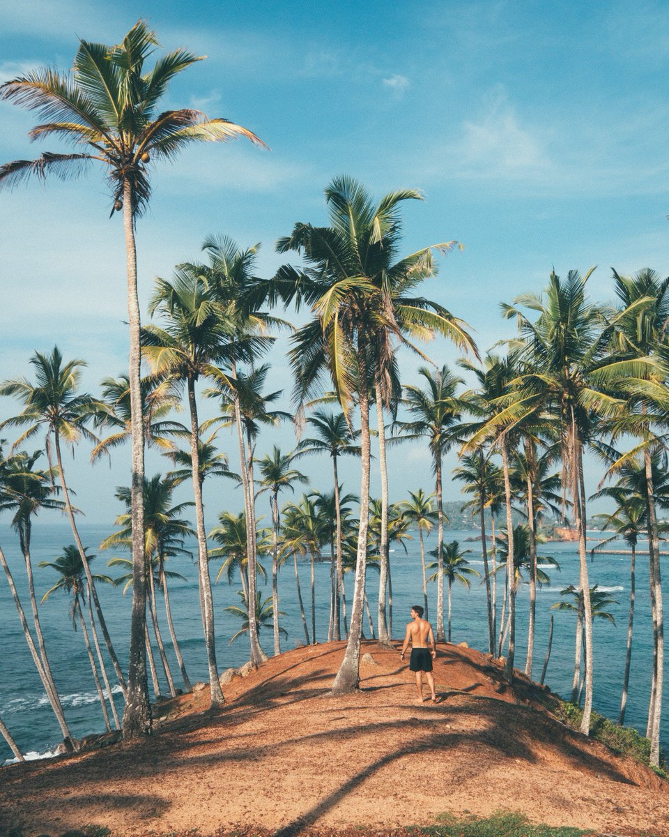 All about those tropical feels 🌴🌊
Don't know where to go for your next vacation?
This one of a secret beach in Sri Lanka 😉 
📍Mirissa, Sri Lanka 
Find the best holiday offers for your card. 
Check out moneyworkz.com .

#moneyworkz
