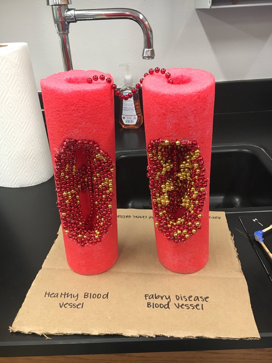 mrsjenmar's tweet photo. Learning how malformed enzymes can cause disease-students created PSA videos and models. #CHS9Family #CHS9BioRocks https://t.co/8ej6muLN5B