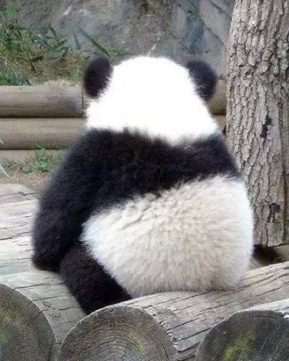 Jasonhints's tweet image. I miss the  Chinese food!!!