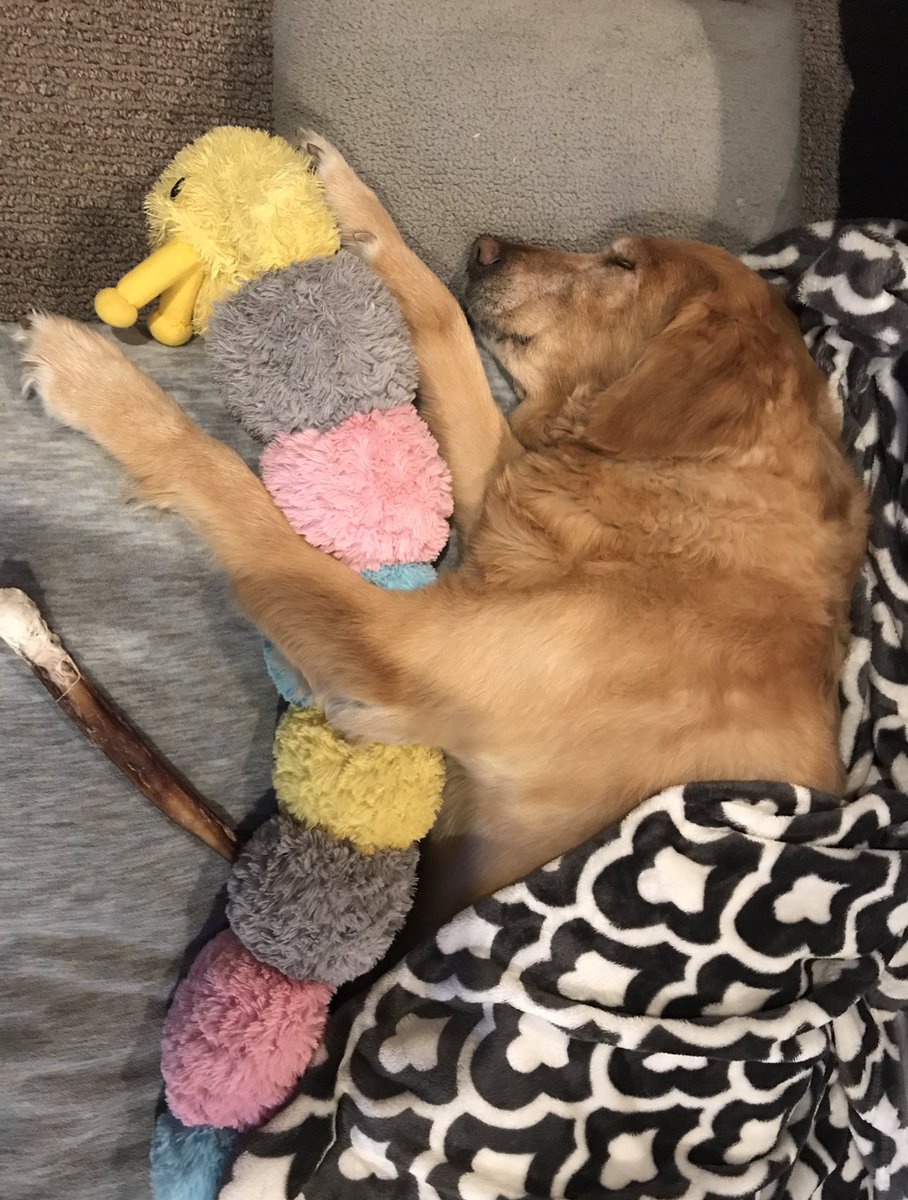 Hunter King tweet media