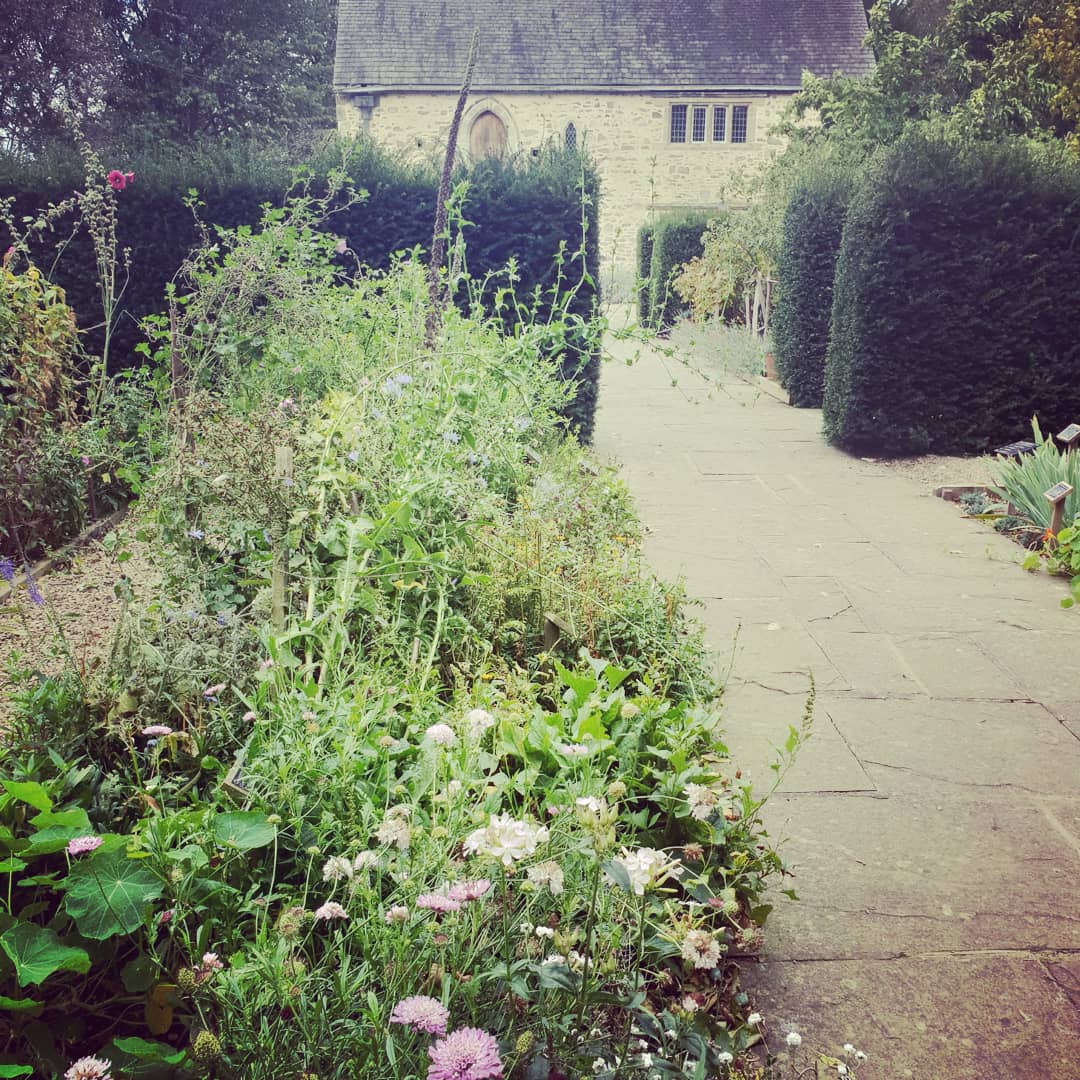 Curly Magpie (@curly_magpie) on Twitter photo 