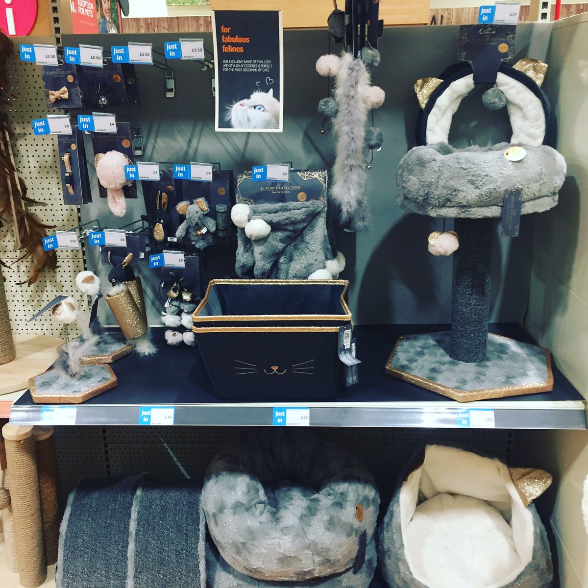 New Cat Luxury Collection in store now! 🐈 🐾 

Includes new toys and beds! Pop into store to see our latest range ! 🏠💖 🐈 

#NewCatProducts #CatLuxury #PetsAtHomeMalvern