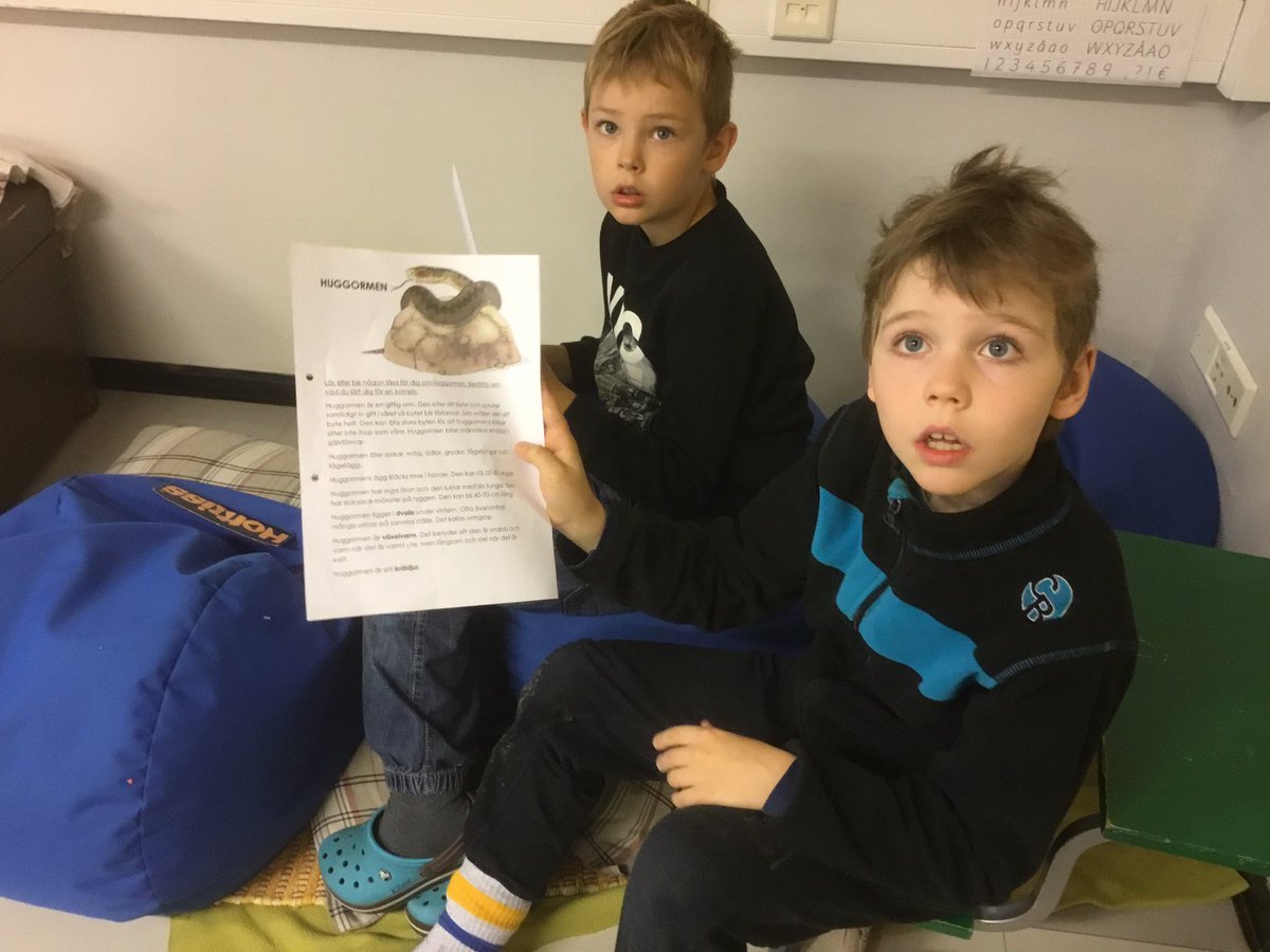 katarinaskolan's tweet photo. Experterna på snoken och huggormen berättar fakta för varandra i ettan. https://t.co/Jd7xMqxhIT