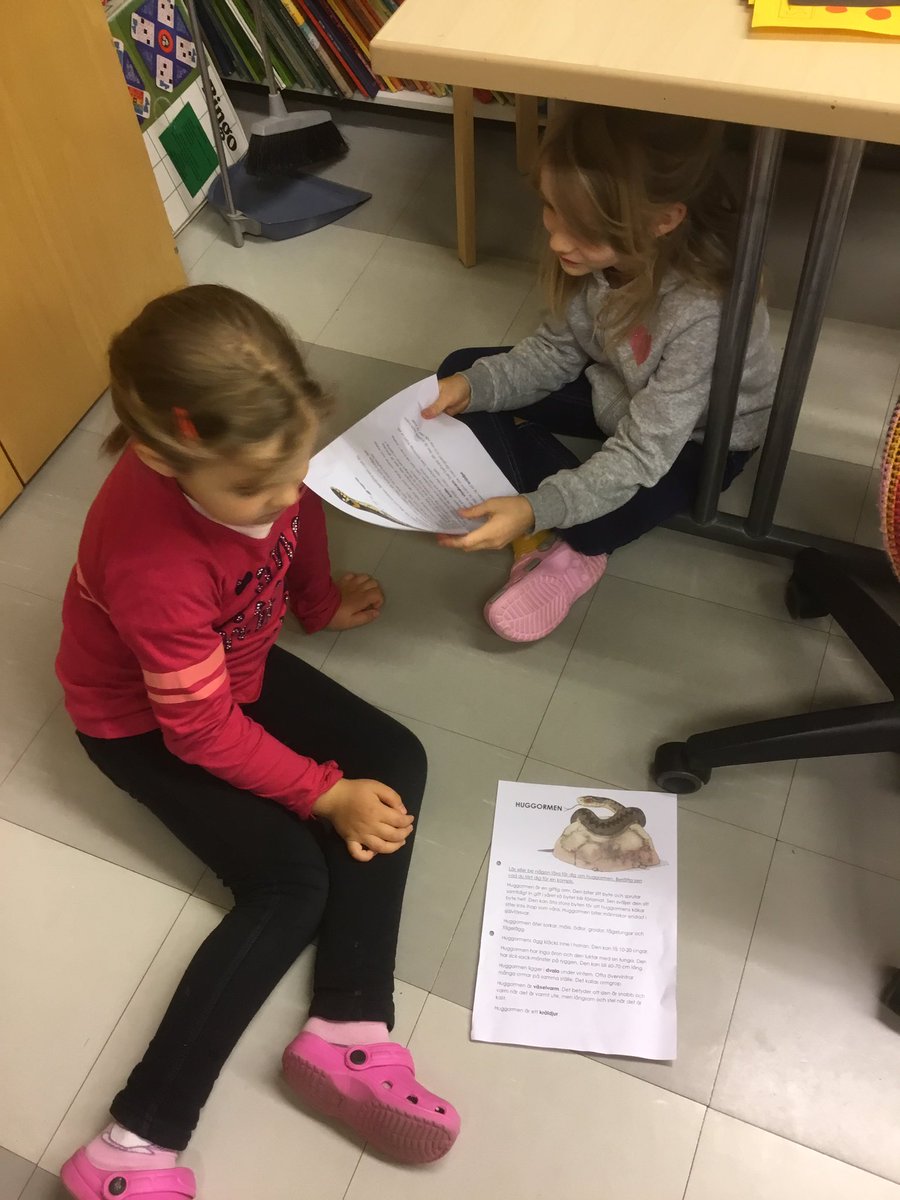 katarinaskolan's tweet photo. Experterna på snoken och huggormen berättar fakta för varandra i ettan. https://t.co/Jd7xMqxhIT