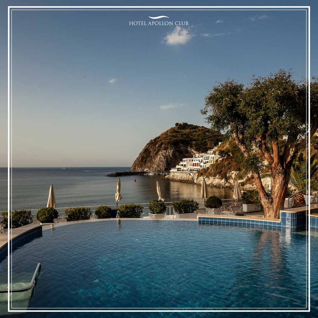 Hotel Apollon Club tweet media