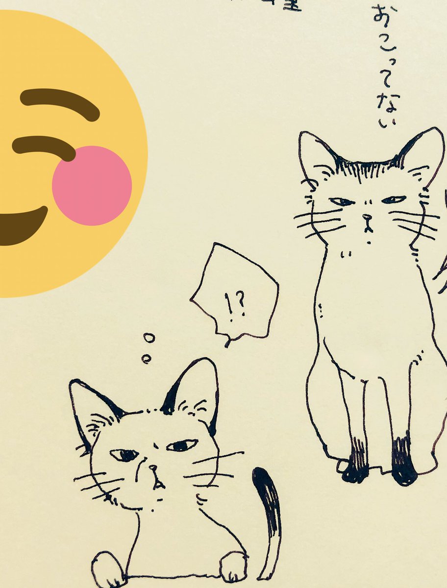 猫ちゃんをべっぴん(当垢比)に描けたので見てください 