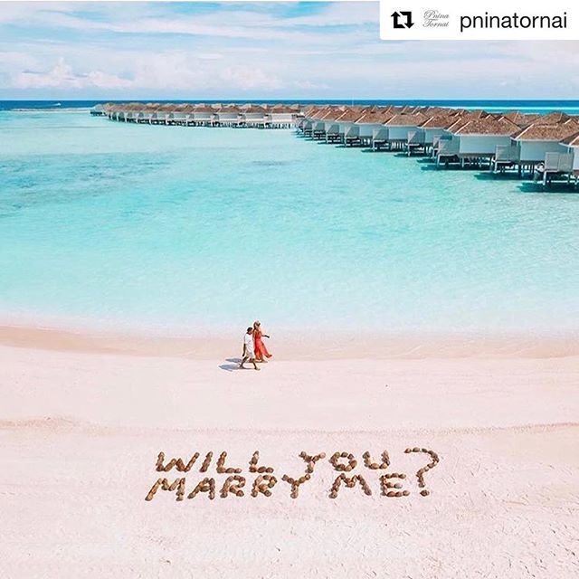 Airó Events tweet media