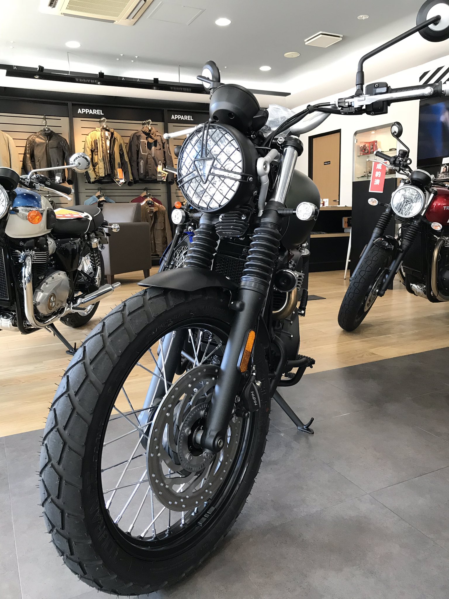 Amazon | Triumph ヘッドライトグリルとベゼル A9838244