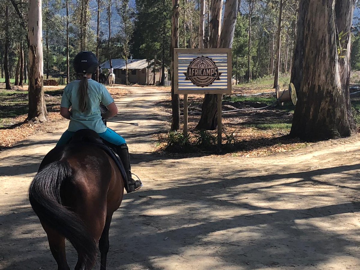 AfriCamps tweet media