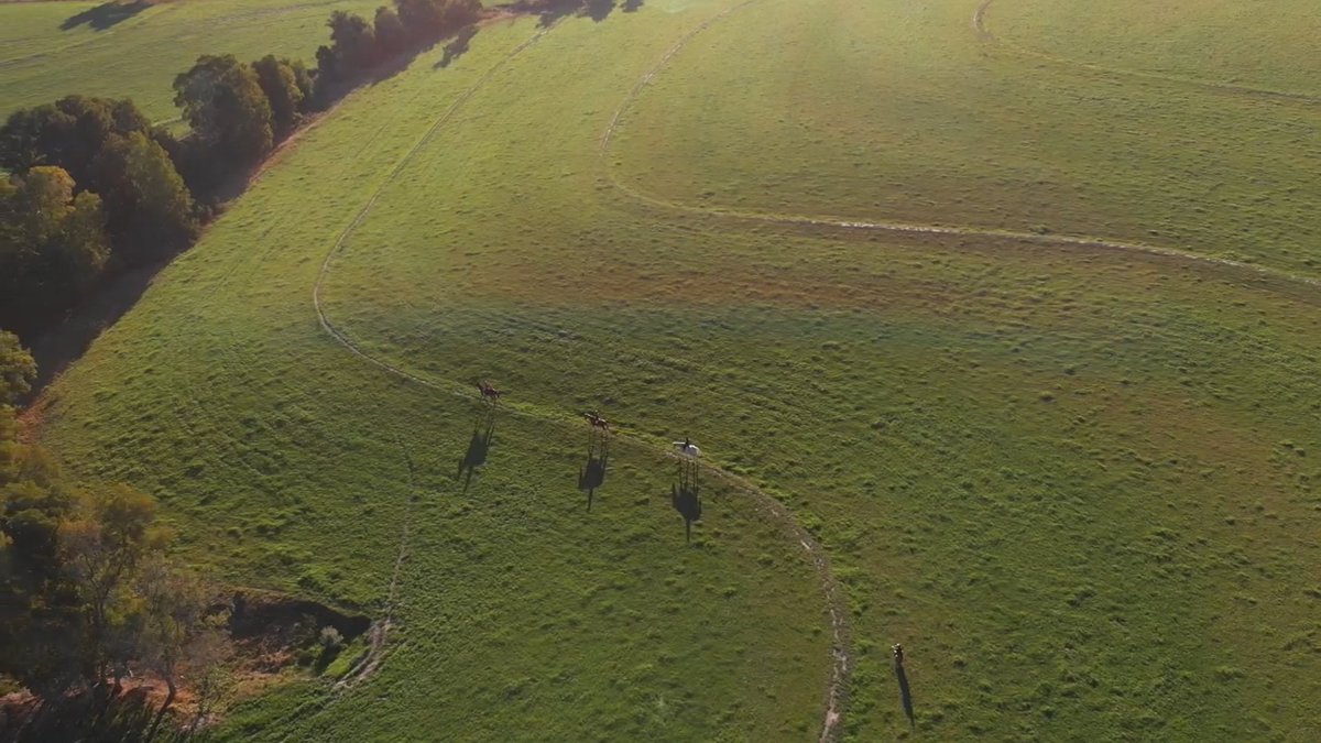 AfriCamps tweet media