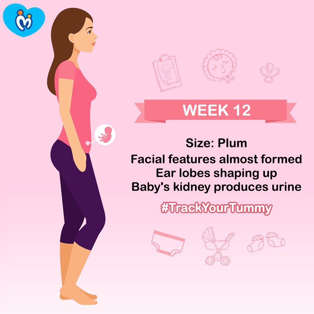 MamyPokoIN's tweet photo. Mammies-to-be, #TrackYourTummy is a great way of staying up-to-date with the developments in your tummy!
#MamyPoko #Unicharm #TrackDevelopment https://t.co/YtgFCihRVB