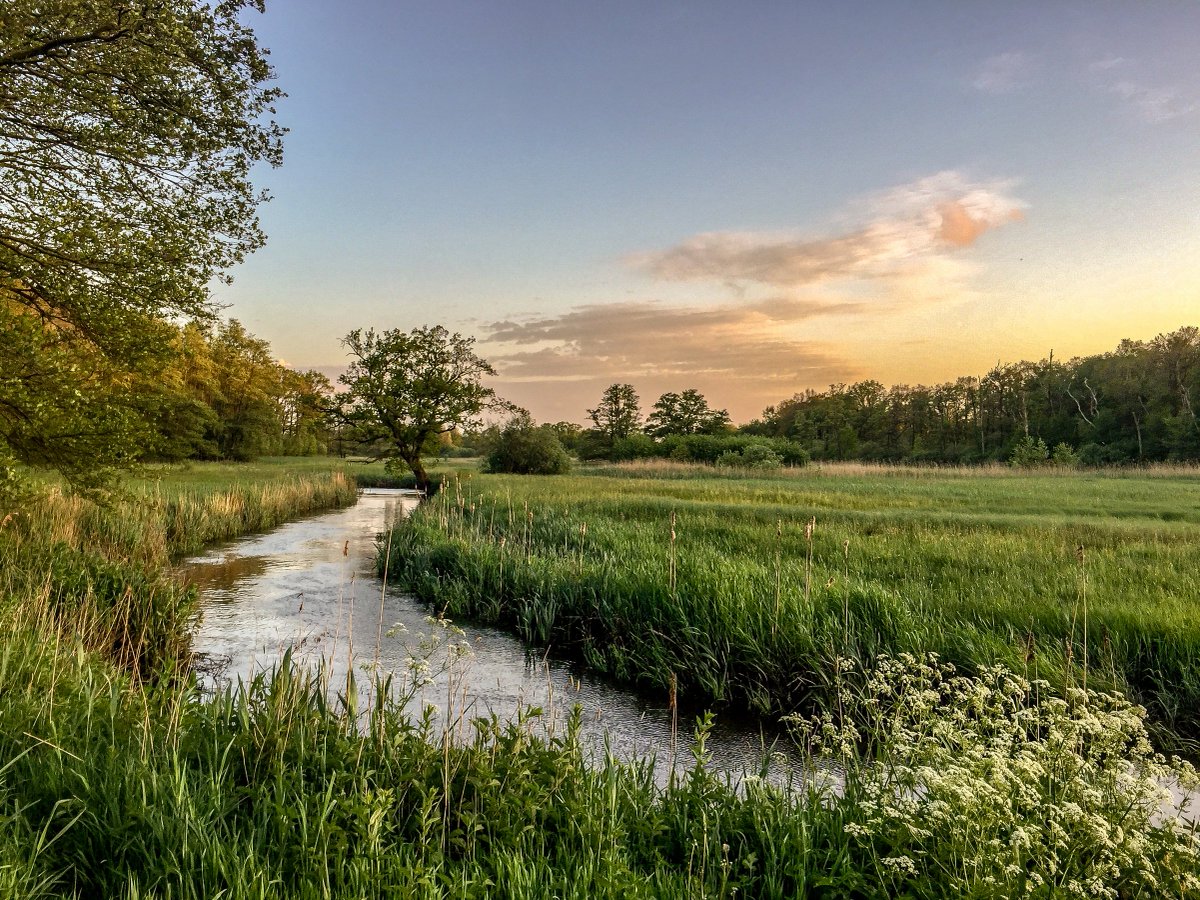 Ondernemers in Nationaal Park Drentsche Aa opgelet: 29 oktober start een nieuwe cursus Gastheerschap Drentsche Aa. Nadruk ligt op het kennis van het landschap en het vertellen van verhalen om je bezoekers een onvergetelijke ervaring te geven. drentscheaa.nl/divers/gastvri…