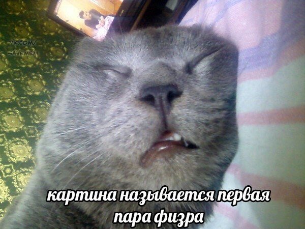 nikamson's tweet photo. Доброе утро https://t.co/sgfAVBuoNs