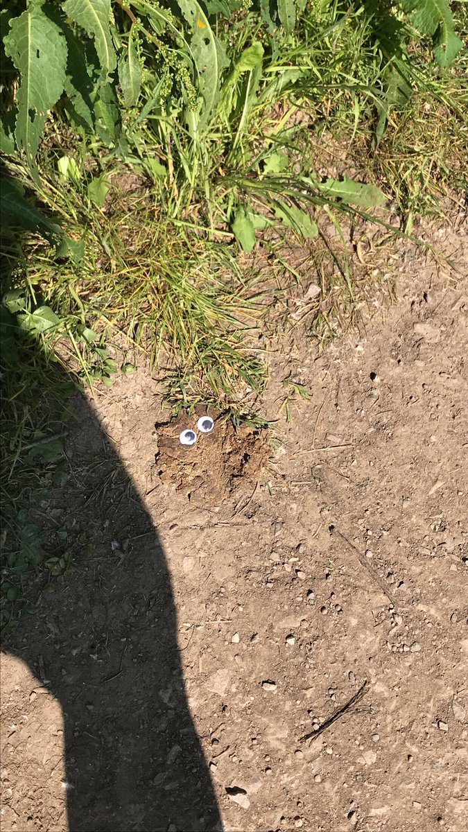 SashieWalker's tweet photo. @gregjames came across a googly poo a few months ago. #googlyeyebanksy https://t.co/YE2Z41e9xf