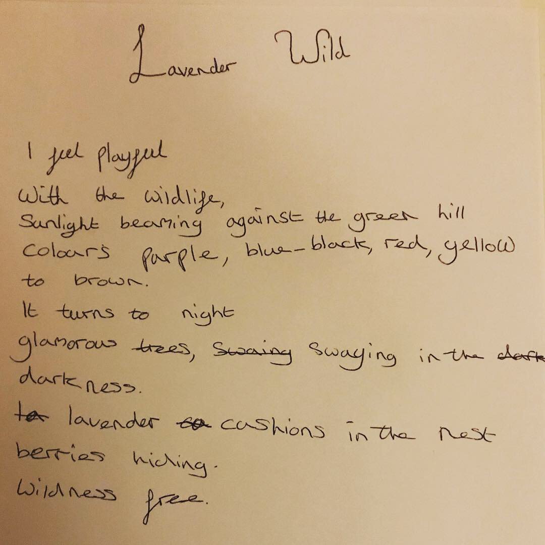 Coombestudios's tweet image. Sasha's homework (aged 8) ...to make something influenced by the #LandArt movement #Wildnessfree #growingcreativity