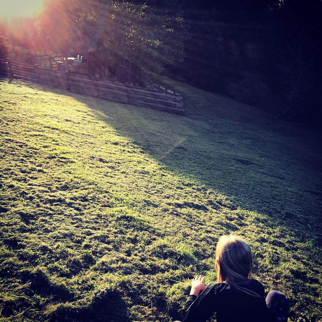 Coombestudios's tweet image. Sasha's homework (aged 8) ...to make something influenced by the #LandArt movement #Wildnessfree #growingcreativity