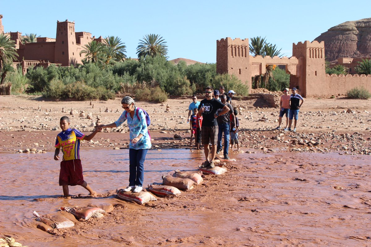 finovatis's tweet photo. #FINOVATIS fête ses 10 ans au #Maroc ! #TeamSpirit #Sahara #Dromadaire https://t.co/7fntbjgynb