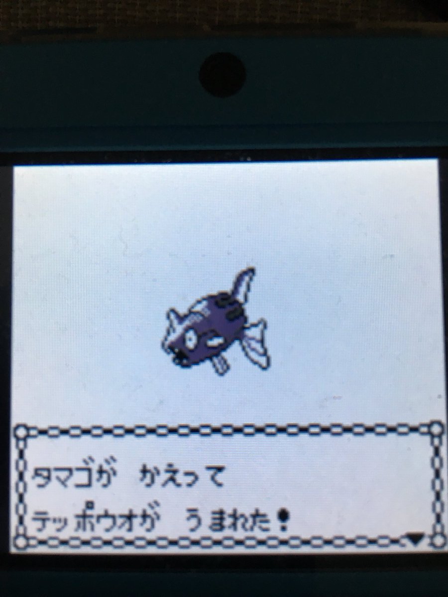 色違いポケモン紹介 Vc産テッポウオ 自由に生きてあそblog