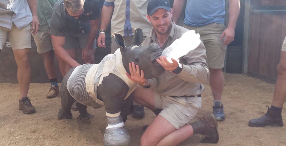 Be a rhino-ranger for the weekend! 2 Days 
Spend two nights at #Swatika Camp close to #Skukuza Rest Camp in #Kruger National Park.  Enjoy an afternoon Bush walk and Night drive with Safari Guide of the Year, Jaco Buys.
nroutes.co.za/trip/be-a-rhin…
<a href="/ibizweb/">Ibizweb</a> <a href="/wildoorz/">Wild Doorz</a> <a href="/jacobuysza/">Jaco Buys</a> #rhino