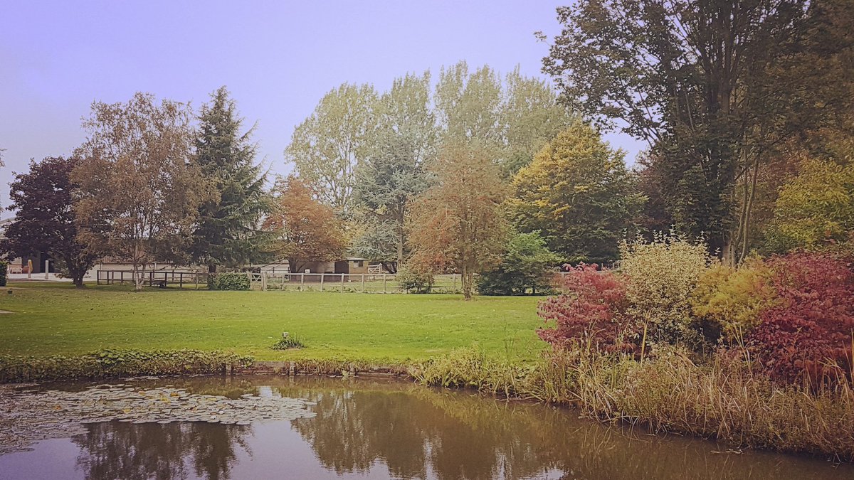 #autumndays #autumnal #lake #leaves #sky #farm