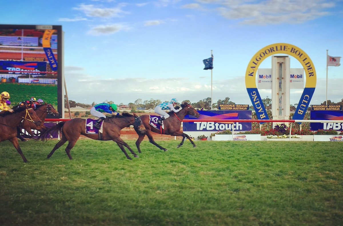 WesternRacepix's tweet image. REYKJAVIK - 2018 @TAB_touch Hannah’s Handicap (Listed) #WAracing #TheRound