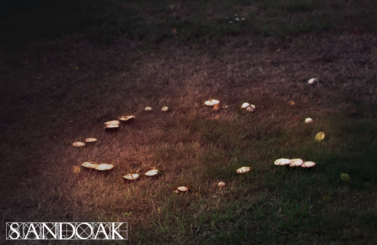 Jadzia_Dax_DS9's tweet photo. #feenring #hexenring #fairyring #mystic #mystisch https://t.co/ArsxL9y5bI
