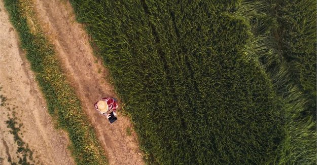 #ICT 📱💻📡!! Modern forms to improving #agriculture 🚜 trainings & informing  #farmers 💦🥒🌽#smartgrid #internetoffood @AgribusinessTV @CTAflash @CTABrussels @AgriHack @agridigitale1 @FojeaTg @Mifatogo @AgricConnect @giz_gmbh @IoTclubs @waziupIOT @anthonyawasom