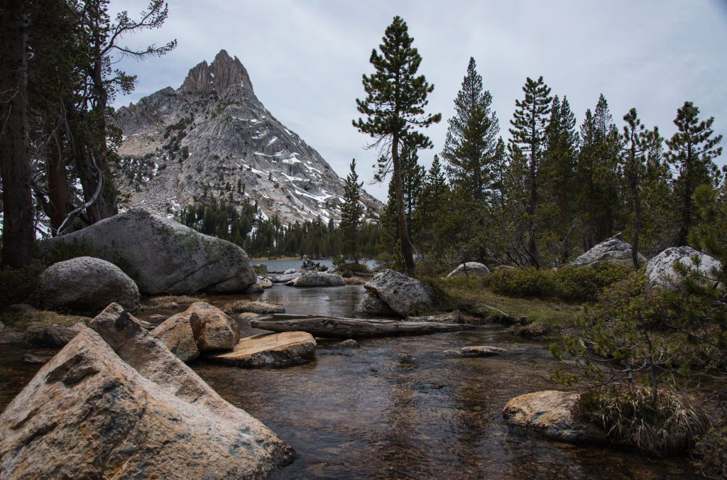 ThinkProgress tweet media