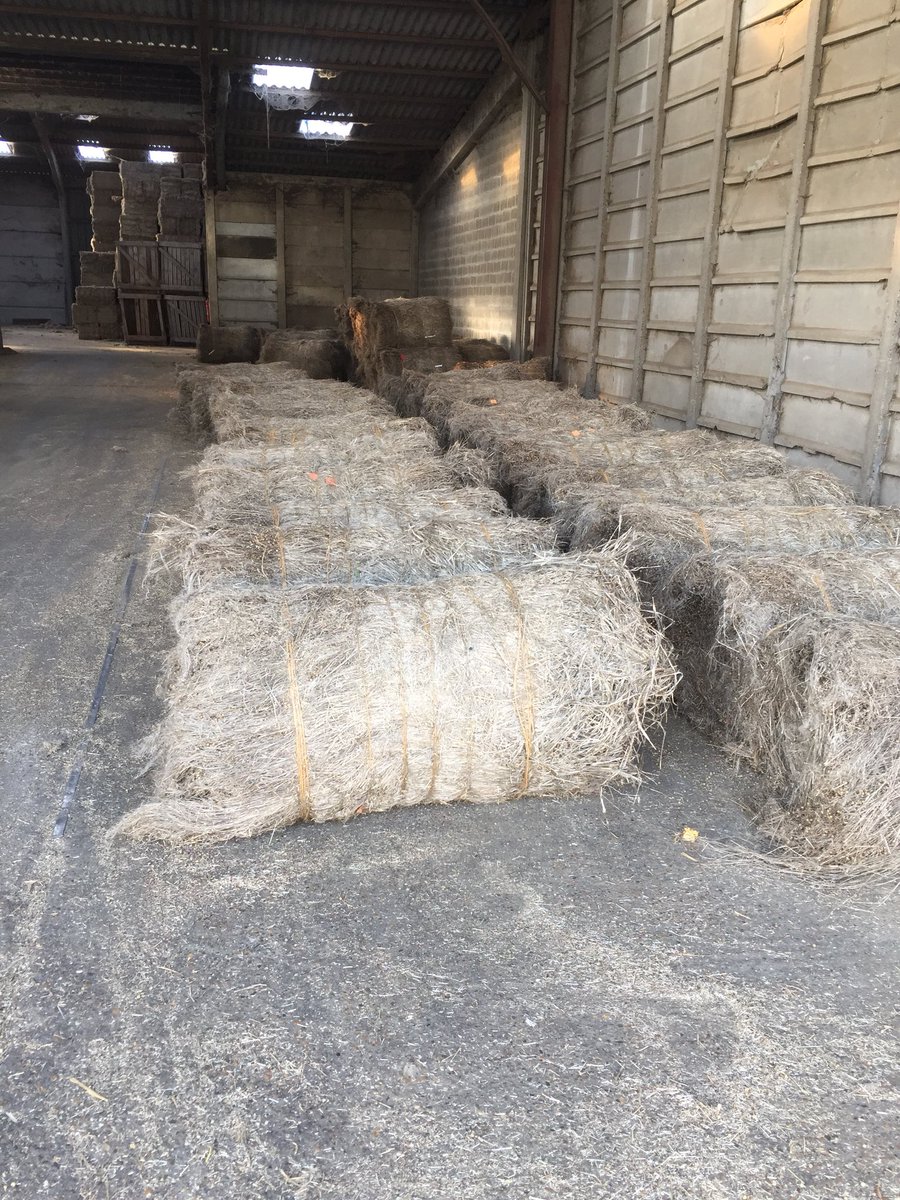 Benoit Normand tweet media