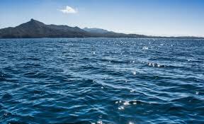 eddyp1871's tweet photo. Step 2: Go swimming!!!!! (bring ur boo if u want 😘) https://t.co/jhz9AVLQVg