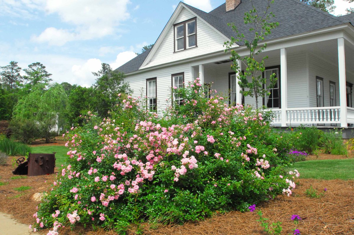 twincedars2's tweet photo. We would like to thank the Elizabeth Fry &amp; DuPont Kirven Foundation for their Orchid Sponsorship for Dinner in the Garden! We greatly appreciate all that you have done for us! Remember, get your tickets today at https://t.co/OXIHiOFnmV! https://t.co/AL1DbDSW6o