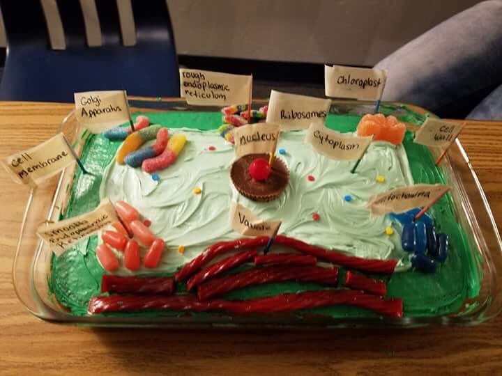 EMPOWERmentAca2's tweet photo. Fun things are happening in science today!! Cakes, clouds, and crafts! 🍰☁️🖍 #Warriors #ReinventLCS https://t.co/oUiioaGIIe