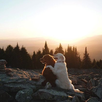 Temperatures are starting to cool down, and you know what that means... Time to take advantage of this fall weather and EXPLORE! Grab your buddies (human or fur), and get out there.