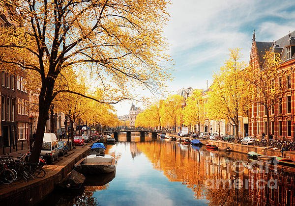 New artwork for sale! - 'Fall in Amsterdam' - fineartamerica.com/featured/fall-… @fineartamerica